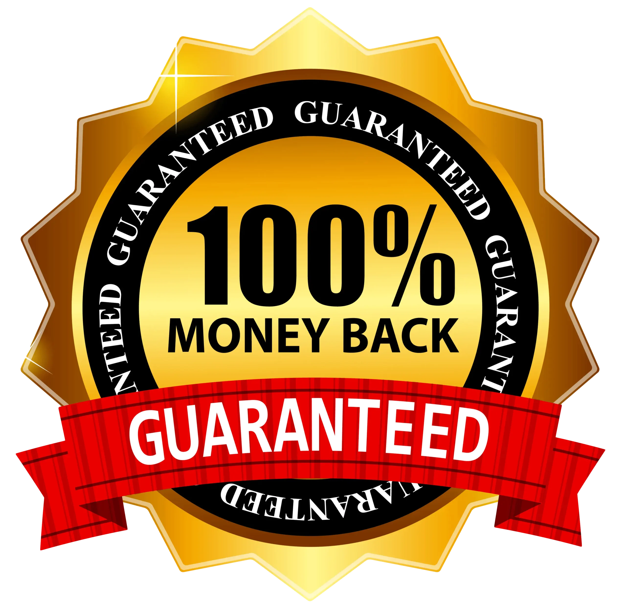 Chasing Light Trust Badge